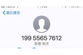 莘县为什么选择专业追讨公司来处理您的债务纠纷？